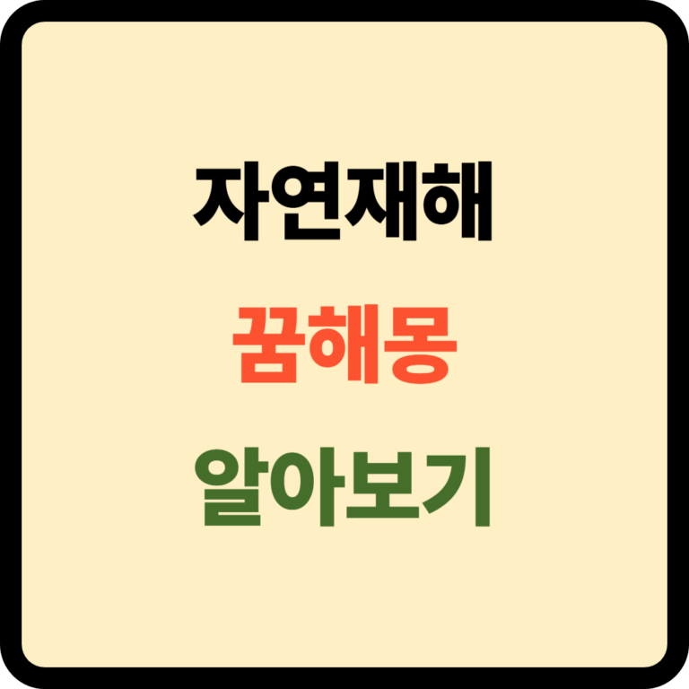 자연재해 꿈해몽