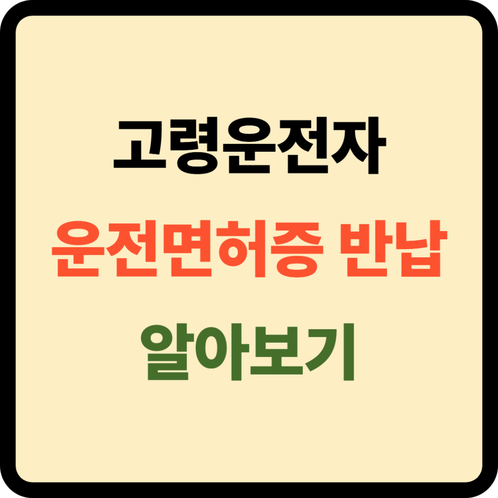 고령자 운전면허증 반납
