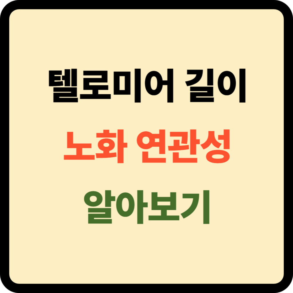 텔로미어 길이와 노화 연관성