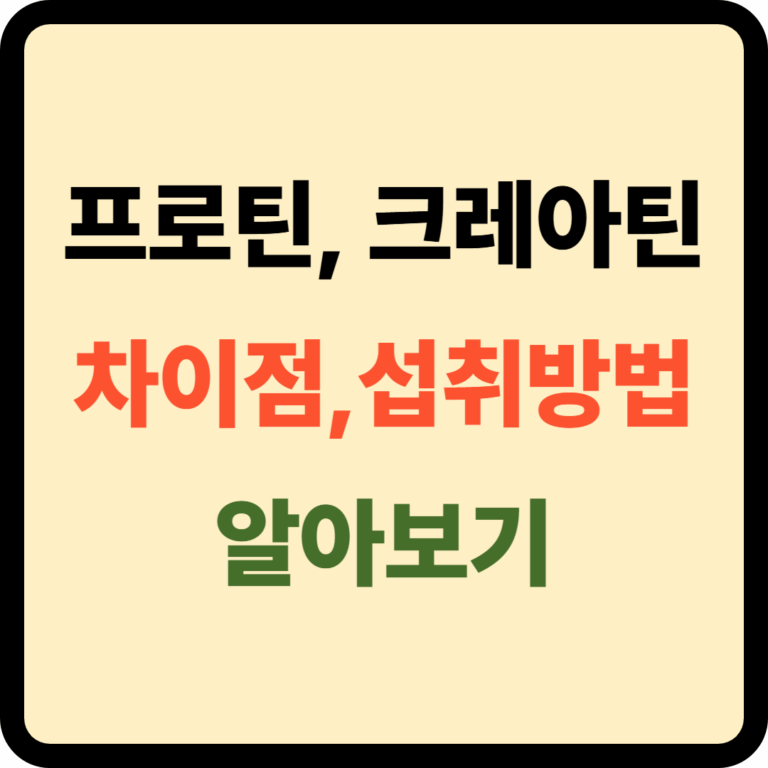 프로틴 크레아틴 차이점