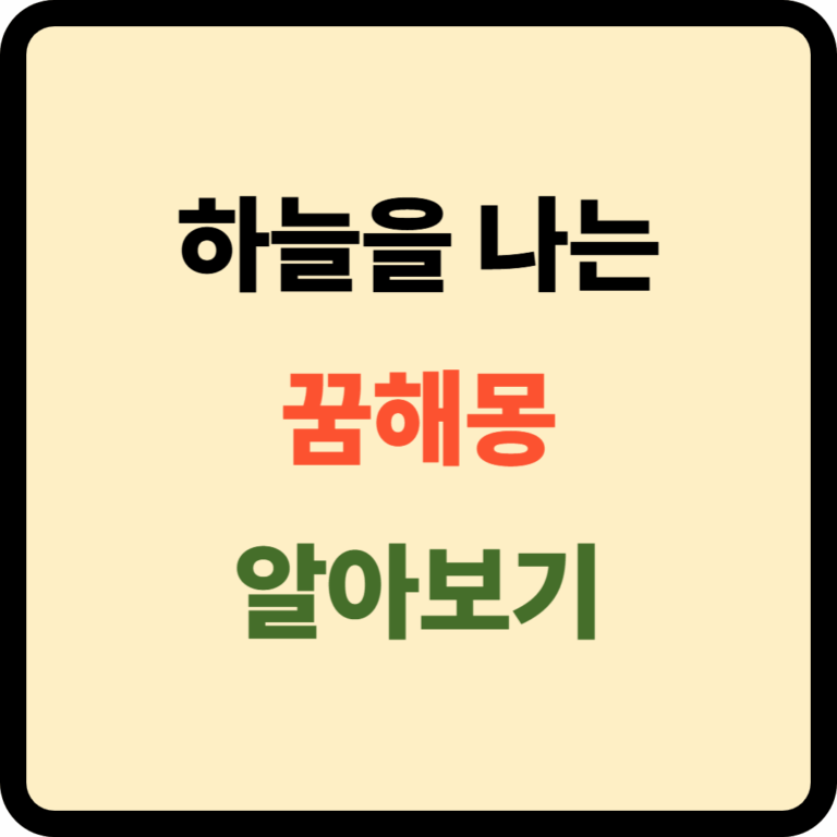 하늘을 나는 꿈해몽