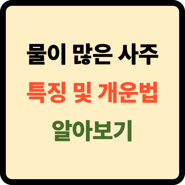 물이 많은 사주 특징 및 개운법