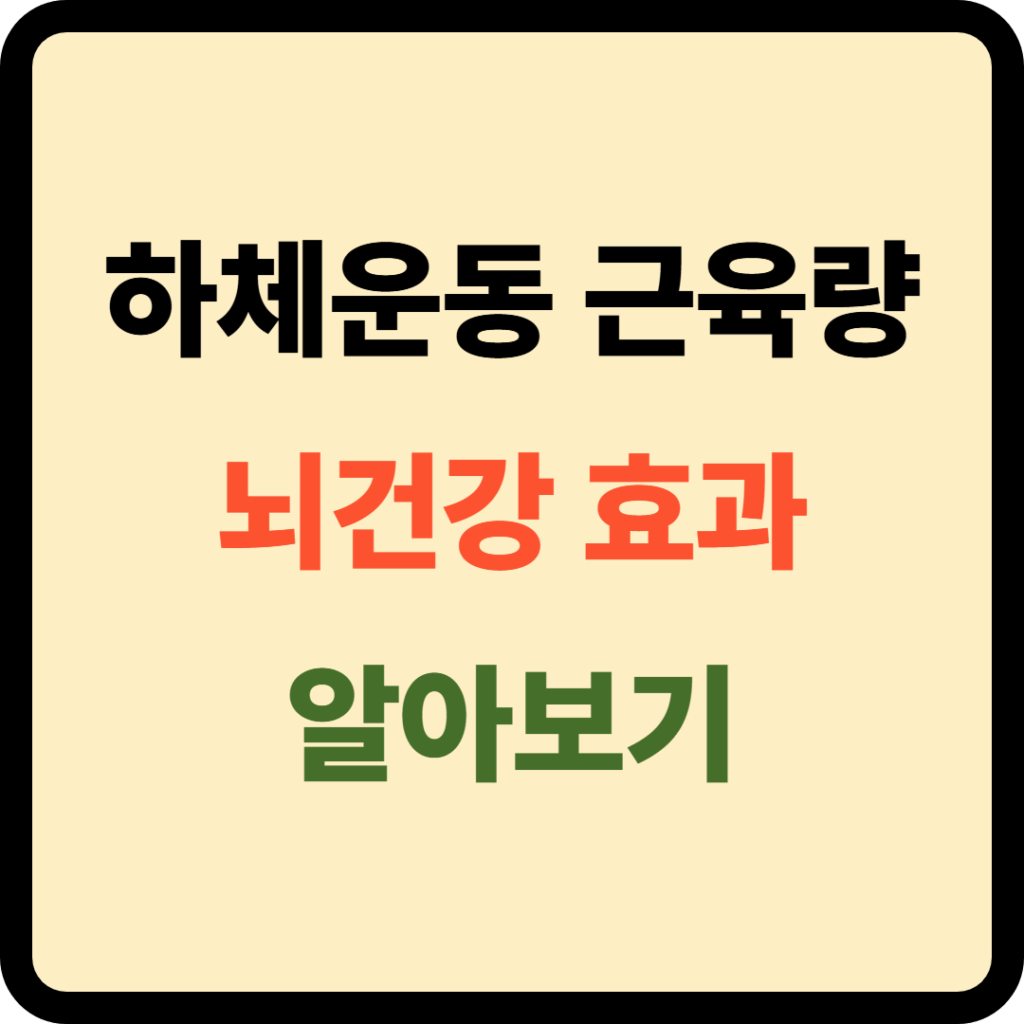 하체운동 뇌건강