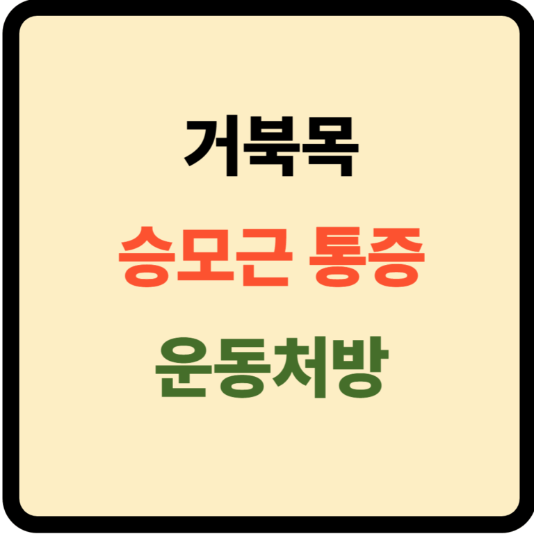 거북목 승모근 통증