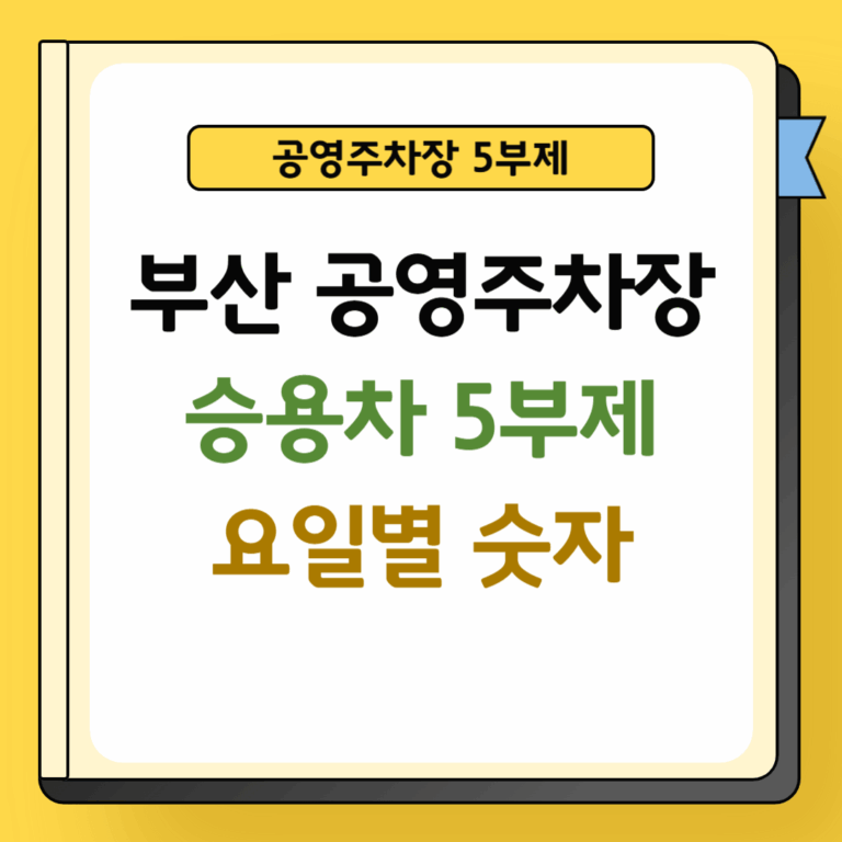 부산 공영주차장 승용차 5부제