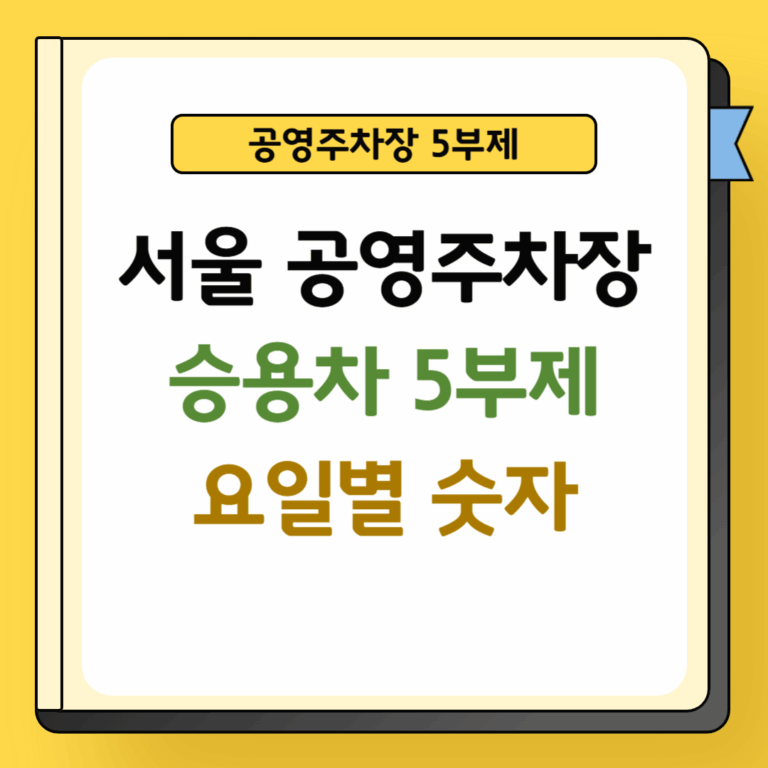서울 공영주차장 승용차 5부제