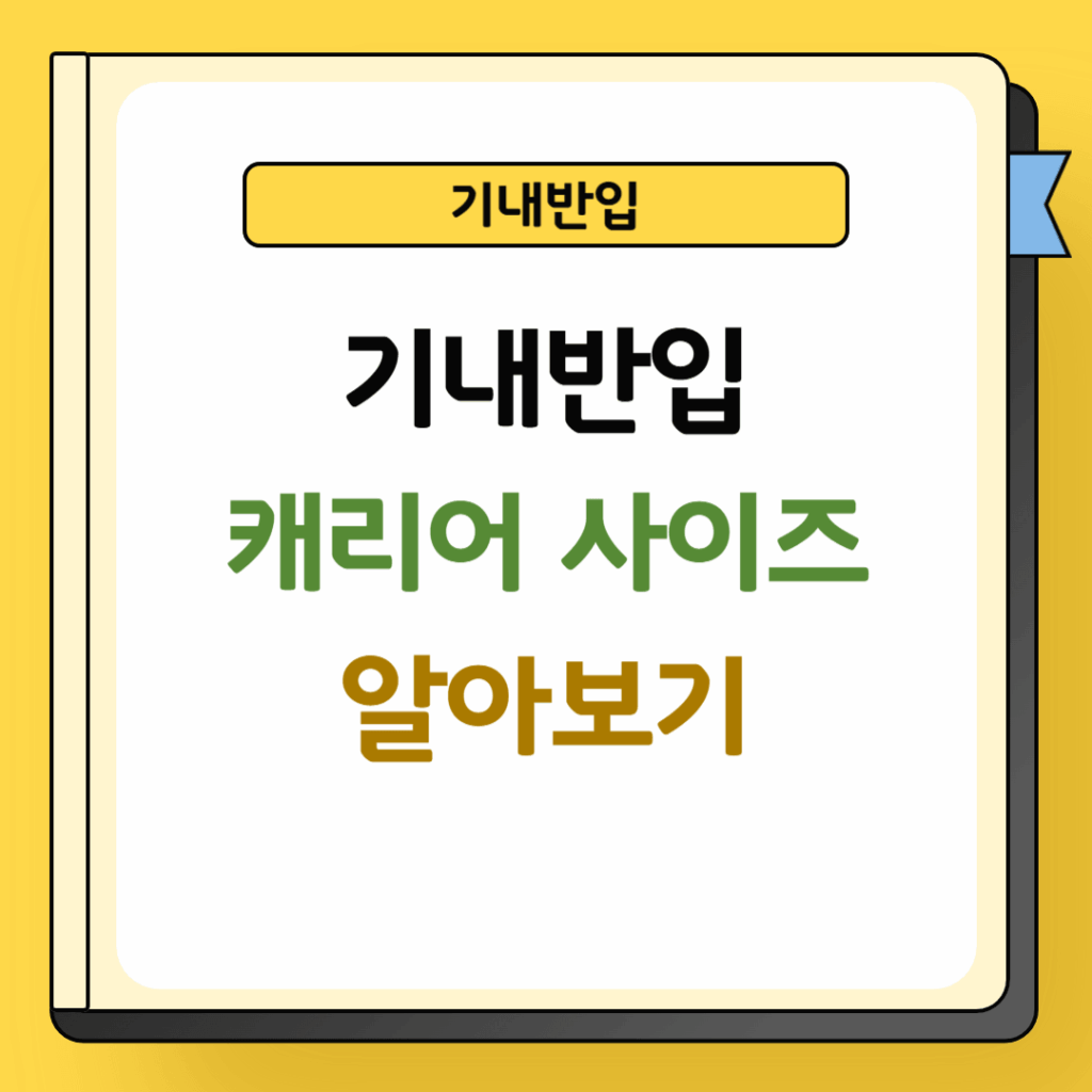 기내반입 캐리어 사이즈