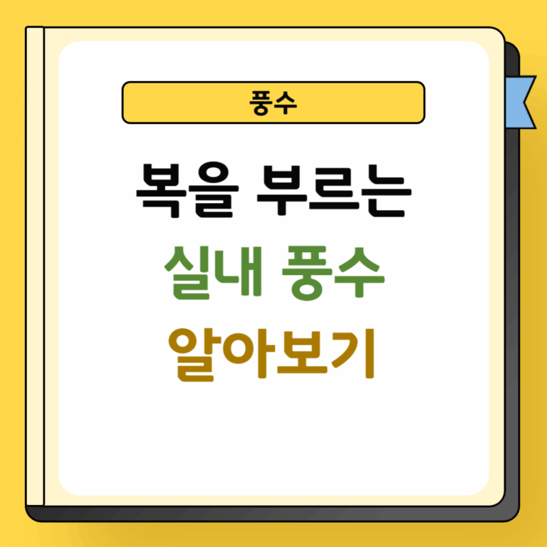 복을 부르는 실내 풍수