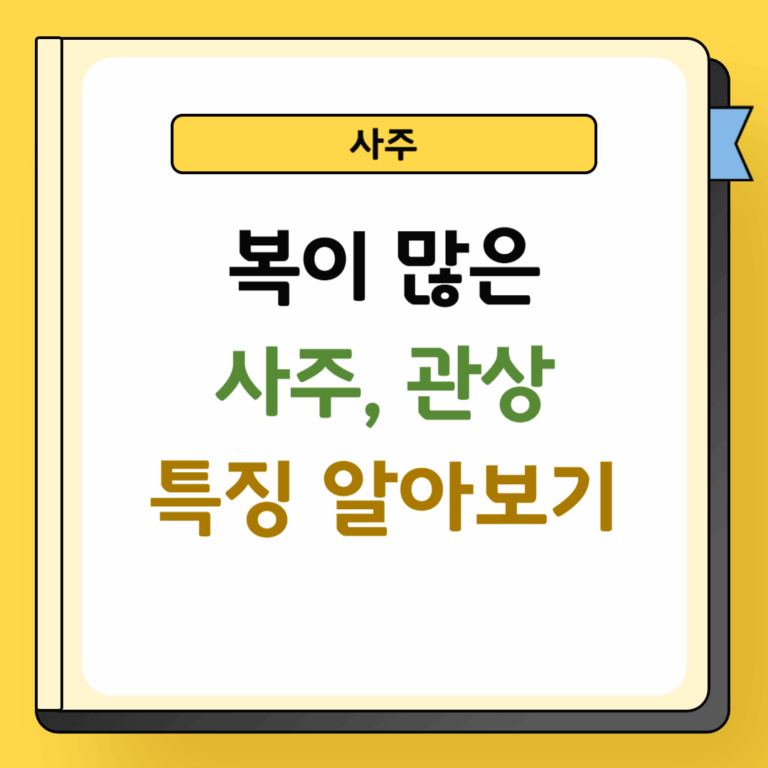 복이 많은 사주 및 관상