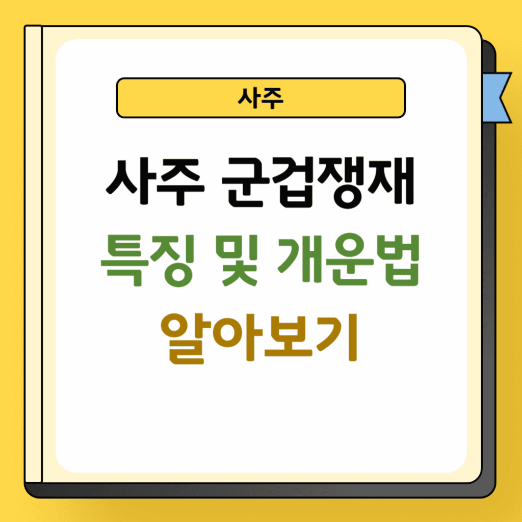 사주 군겁쟁재 특징 및 개운법