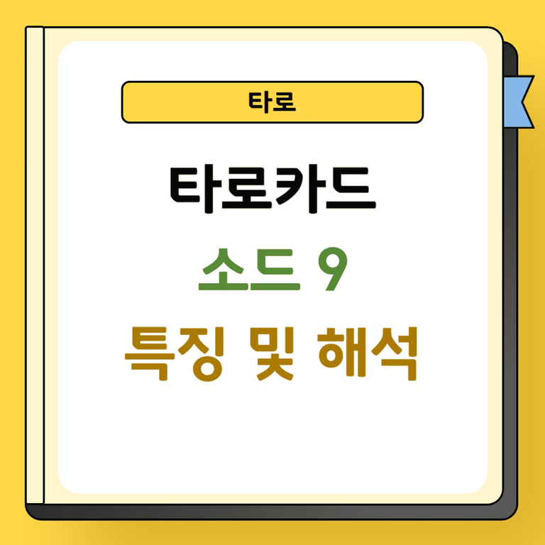 타로 소드 9 특징 및 해석